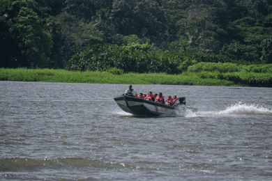 Motorbåtstur i Tortuguero nationalpark **BEST SELLER**