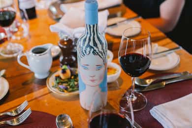Tour pela vinícola VIK com degustação de vinhos e almoço saindo de Santiago