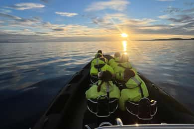 Bodø: Midnight Sun Tour/Beiarn Fjord Tour by RIB Boat