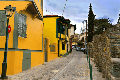 Thessaloniki Old Town Walking Tour-Culture-Nature-Plants