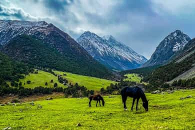 Fra Bishkek: Tur til Alammedinsky-kløften og Teke-Tor-vandfaldet