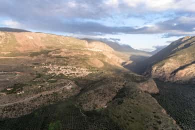Delphi: Olive Grove Hike