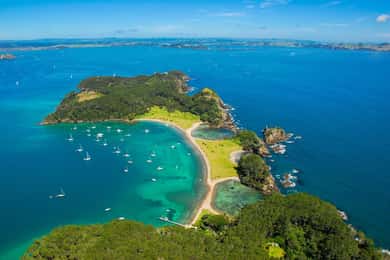 Auckland: Paihia via Bay of Islands One-Way Transfer