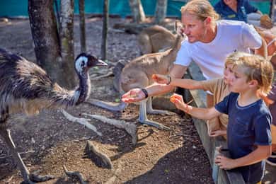 Port Douglas Desayuno con los pájaros