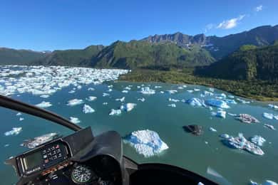 Seward: Bear Glacier Scenic Flight with Icebergs