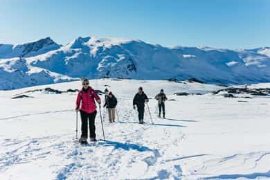 Från Tromsø: Snöskovandring med picknicklunch och foton