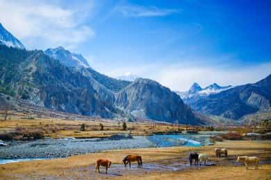 Jeep Trip to Upper Mustang