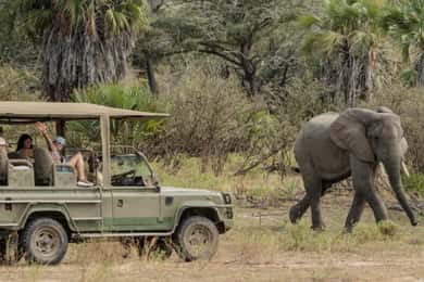 2 Day Zanzibar to Nyerere NP (Selous GR) By Flight