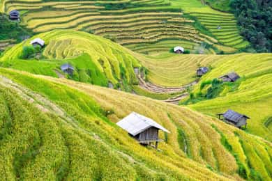 Från Hanoi: Mai Chau Valley dagsutflykt med cykling