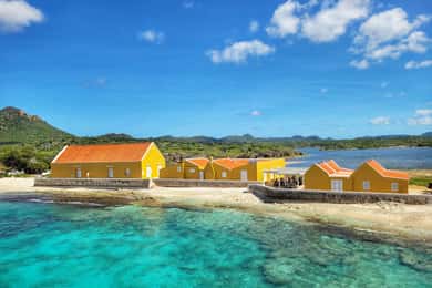 Bonaire: Private Washington Slagbaai Park Tour incl Lunch