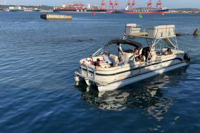 Durban: Pontoon Boat Harbor Cruise