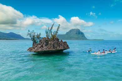 Mauritius: Guided Kayak tour to Benitiers Island