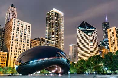 Lo mejor de Chicago: Visita privada a pie con un lugareño