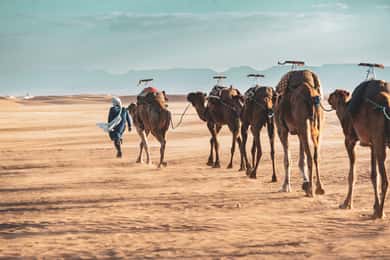 De Marrakech au désert de Zagora : excursion de 2 jours via Ait Benhadou