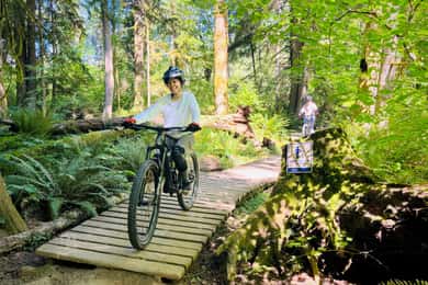 Seattle: Meio dia de passeio de mountain bike com tudo incluído