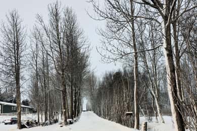 Privat tur till Gyllene cirkeln med lavatunnel (valfritt)