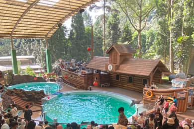 Jakarta : Safari Park Show, Tea Plantation & Waterfall