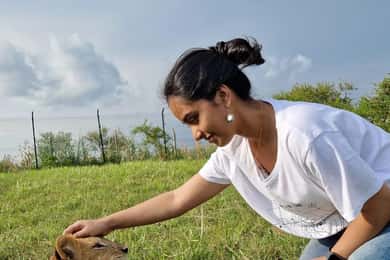 Kampala: Conservation Centre for Wildlife Guided Tour
