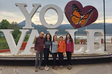 Monarch Butterfly Mexico Reserve Sanctuary & Valle de Bravo