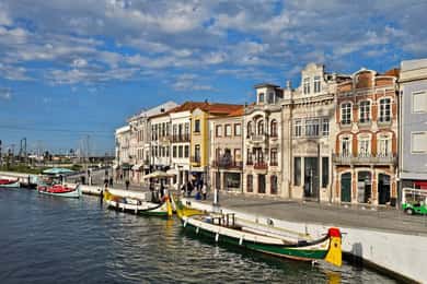 From Porto to Aveiro: Cruise, Aves, Salinas, Costa Nova, and Vista Alegre