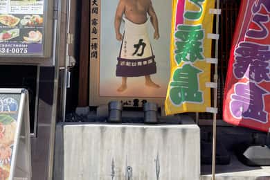 Turneu de sumo, locuri B BILETE & Tur Ryogoku cu expert în sumo