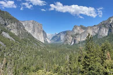 Yosemite, Giant Sequoias, Private Tour from San Francisco