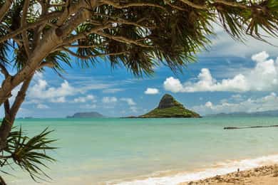 Oahu: Private Custom Island Tour