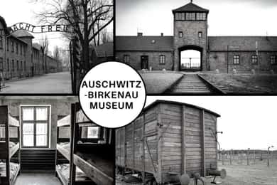 Auschwitz-Birkenau: Ticket de entrada al museo con tour guiado
