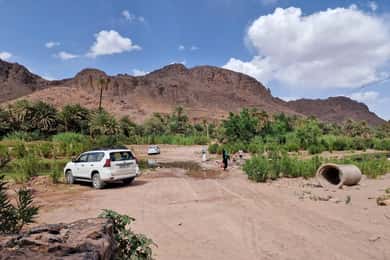 Ouarzazate : Film Studios, Aït Ben Haddou & Fint Oasis Tour