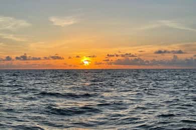 Tampa Bay: Sunset Cruise with Celebrity Homes and Wildlife