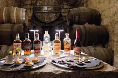Palma: Tour door een distilleerderij met 6 gedistilleerde dranken en tapasproeverij