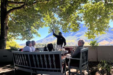 Ciudad del Cabo: tour por los viñedos del Cabo con cata de vinos
