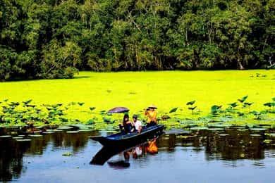 Desde Ho Chi Minh: Tour de 3 días por el Mekong y mercado flotante de Cai Rang