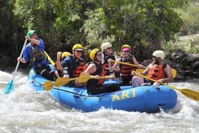Cañon City: Half-Day Bighorn Sheep Canyon Rafting Tour