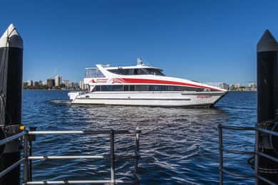 Rottnest Island: Premium Ferry Service with Cheese & Wine