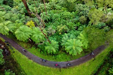Warburton: Mountainbike-eventyr i Redwood-skoven