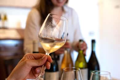 Villa Bogdano 1880: Guided Winery Tour and Tasting