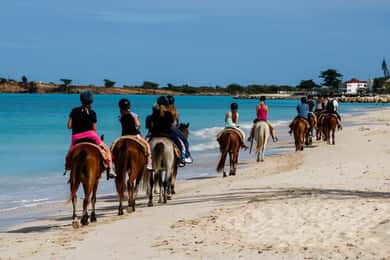 Montego Bay: Passeio a cavalo, tubing e Dunn's River Falls