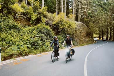 Self-Guided E-Bike Road Tour - Camacha to Monte with Lunch
