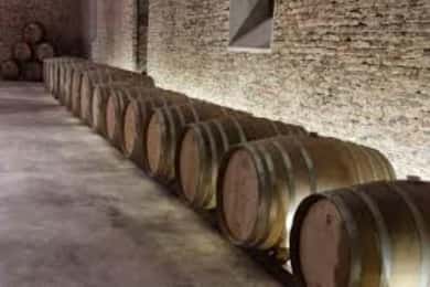 Cerros de San Juan: tour por la bodega más antigua con almuerzo y traslado