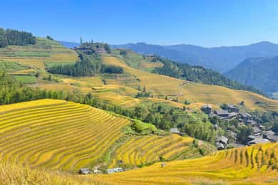 Guilin-Nanning : 8 jours pour découvrir la rivière Li, les rizières en terrasses et les chutes de Detian