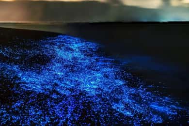 Croisière commentée au coucher du soleil dans la baie de Lan Ha avec kayak bioluminescent