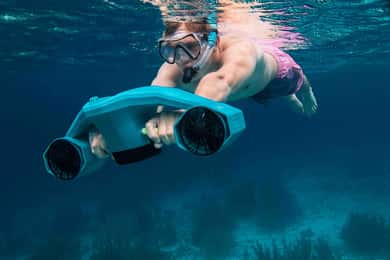 Bonaire: Guided E-Snorkeling tour (small group)