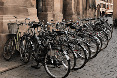 Strasburgo: noleggio bici per 1 giorno