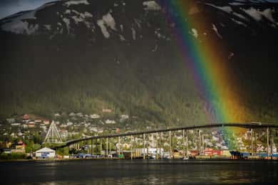 Tromsø: Stadsvandring & Polarmuseet (privat eller delad)