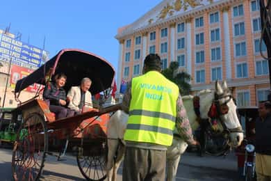 Amritsar: Golden Temple, Jallianwala Bagh, Wagah Border Tour