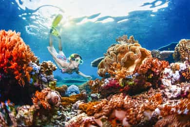 Vanaf Bali: Halve dag snorkelen op 3 plekken naar Lembongan & Penida