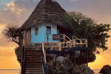 Dolphin Tour, Jozani Forest, Kuza Cave, Paje Beach, The Rock