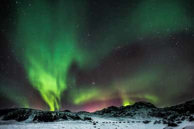 Från Reykjavik: Norrskenstur med livstidsgaranti