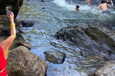El Yunque Tour Regnskov og vandrutsjebane Puerto Rico